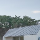 그로브동산 | [숙소] 강원도 양양 감성숙소 그로브동산 트렌타 숙박 후기
