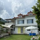 해피도그 | [밀양 애견펜션] 해피도그데이