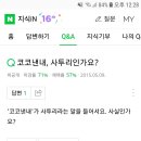 코코낸내가 무슨뜻인가요? 이미지