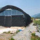 선리농장 이미지