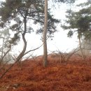 새벽아침농장 이미지