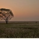 사시사철-풍요 이미지