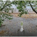 꽃지늘봄펜션 이미지