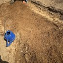 늘푸른농장 1 이미지