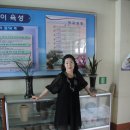 설성초교 Daum카페