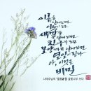 자세히 보아야 예쁘고 사랑스럽다.(나태주 시인의 풀꽃) 이미지