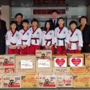 세계로태권도 이미지