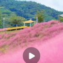 혜찬갈비