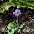 한라전설(주) 이미지