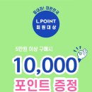 대국민스토어
