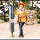 천자봉 농장 이미지