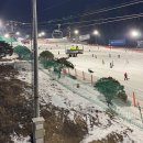 한창버스노동조합 | 비발디파크 금요일 야간스키 당일치기 셔틀버스 후기 (할인, 리프트, 장비 렌탈, 헬맷 대여 등)