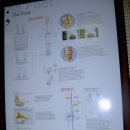 새천년경희한의원 이미지