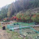 용산관광농원식당 이미지