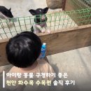 수목원 | 아이랑 동물 구경하기 좋은, 천안 화수목 수목원 솔직 후기
