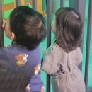 뽀로로 앤 타요 테마파크 월미도점 내돈내산 후기 - 인천 아기랑 가볼 만한 곳, 유아들의 에버랜드 ~