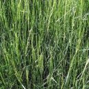 초지축산 이미지