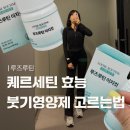 이지커넥트 | 붓기가 다이어트에 미치는 영향 퀘르세틴 효능 | 붓기영양제 루즈루틴 이지컷 후기
