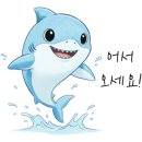 상어수학학원