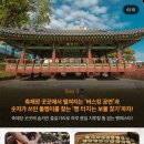 강릉 가볼만한곳 빵페스타 축제 주차 일정 프로그램 먹거리 후기