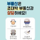 초대박부동산공인중개사사무소 이미지