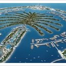 팜 (palm) 이미지