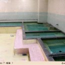 토우목욕탕 이미지