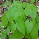 초전초등학교 이미지