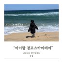 강릉 스카이베이호텔 오션뷰 숙소 후기 아이랑 꼬막피자