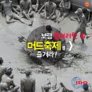 보령썸머라틴&머드 축제 즐기는방법(세부일정) 이미지