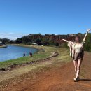 ㈜천사섬관광 | [하와이 여자혼자 여행 9탄] 한인 카우아이 섬투어 레전드 인생 추천하는 이유, 빅아일랜드 가지마세요