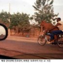 대박오토바이 - 금정구 금정로 129 | 대박오토바이