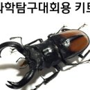 사이언스 데이(비대면) 이미지