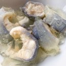 대영장어 이미지