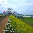 진도섬투어민박 | [여행후기] 1년에 단 한 번! 보배섬 진도 신비의 바닷길 축제 &amp; 관매도 1박 2일 감동 여정-와우부산여행사