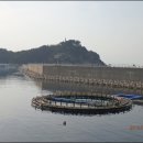 수산항요트마리나 Daum카페