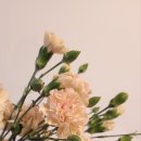 송현농장 이미지