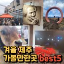 삼달다방 | 겨울 제주도 제주 서귀포 가볼만한 곳 베스트 5 (주차정보/feat.맛집베스트)