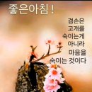 연우채 이미지