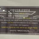 예뻐질:개&고양이카페 이미지