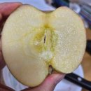 과일달고 | 맛있는 사과 추천 과일 선물 진짜 달고 아삭 부사 후기