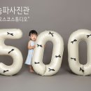 모스코스튜디오 이미지