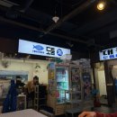 도툼 | 연말 모임 하기 좋은 강남역 방어 맛집 도툼횟집에서 방어, 도미, 광어 모둠회 먹은 후기