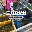 부산 광안리 맛집 도시꼬상회 l 밀레니엄회센터 회 포장 내돈내산 솔직후기