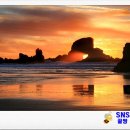 금오행정사 이미지