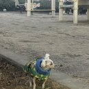 성진초교 | 사랑으로 기억되는 것