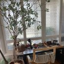명리3길 | [사주]별하늘 명리학당, 입소문타고 사주 보고 온 썰(내돈 내산)