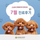 장안동물병원 | 본동물의료센터 7월 진료후기, 장안구24시동물병원