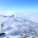 진원반디길마을 영농조합법인 | 자연특별시 무주 - 무주관광100선