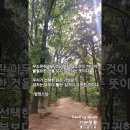 법정스님/부처님오신날/좋은글/감동글/명언/힐링영상/시노래 이미지